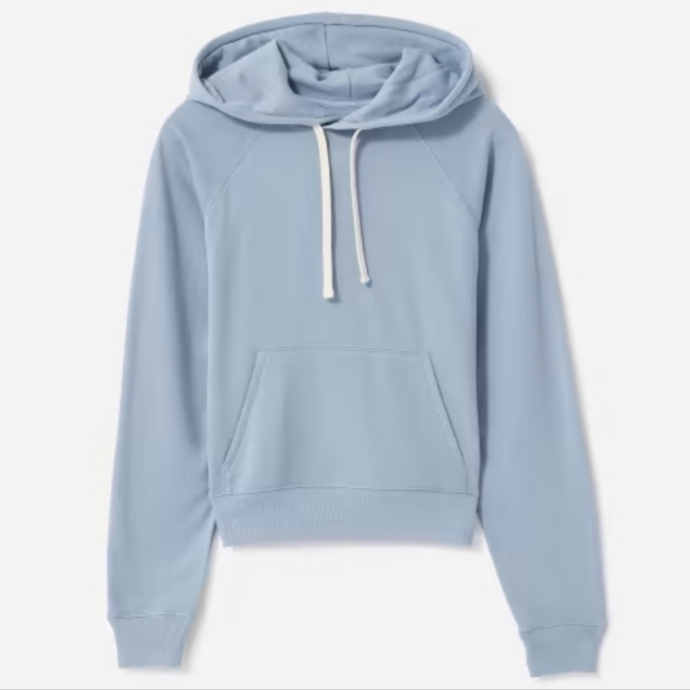 Everlane French terry shrunken style hoodie